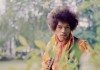 Jimi Hendrix entre unas plantas