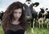 Lorde con vacas detrás